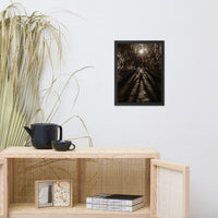 Historic New Castle Urban Landscape Photo Framed Wall Art Print