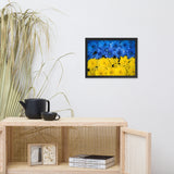 Blue and Yellow Chrysanthemums For Ukraine Refugees Nature Photo Framed Wall Art Print
