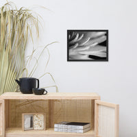 Droplets on Petals Black and White Floral Nature Photo Framed Wall Art Print