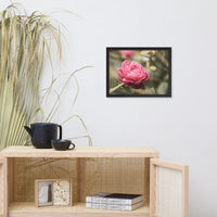 Perfect Petals Colorized Floral Nature Photo Framed Wall Art Print