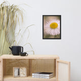 Philadelphia Fleabane Single Bloom Floral Nature Photo Framed Wall Art Print