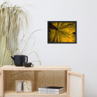 Seasons Change Botanical Nature Photo Framed Wall Art Print