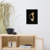 States of Erosion Image 2 Whelk Shell Coastal Nature Photo Framed Wall Art Print