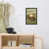 Dreamy Beach Sea Shells Coastal Nature Photo Framed Wall Art Print