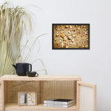 Broken Seashells and Sand Coastal Nature Photo Framed Wall Art Print