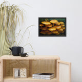 Mushroom Family Botanical Nature Photo Framed Wall Art Print