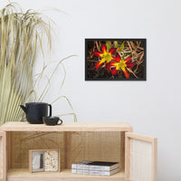 Royal Sunset Lily Floral Nature Photo Framed Wall Art Print