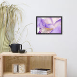 Soft Focus Iris Petals Floral Nature Photo Framed Wall Art Print