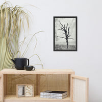 Rotting Away Alone Black and White Botanical Nature Photo Framed Wall Art Print