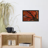 Shimmering Orange Botanical Nature Photo Framed Wall Art Print