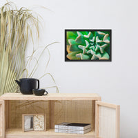 Succulent Botanical Nature Photo Framed Wall Art Print