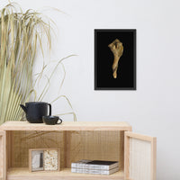 States of Erosion Image 3 Whelk Shell Coastal Nature Photo Framed Wall Art Print