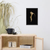 States of Erosion Image 4 Whelk Shell Coastal Nature Photo Framed Wall Art Print