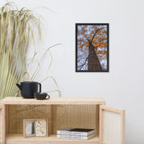 Wind in the Trees Botanical Nature Photo Framed Wall Art Print