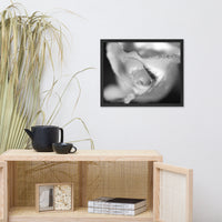 Infrared Rose Black and White Floral Nature Photo Framed Wall Art Print