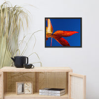 Fall Colors Botanical Nature Photo Framed Wall Art Print