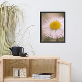 Philadelphia Fleabane Single Bloom Floral Nature Photo Framed Wall Art Print