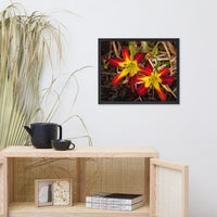 Royal Sunset Lily Floral Nature Photo Framed Wall Art Print