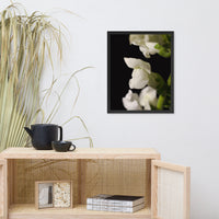Single Snapdragon Bloom Floral Nature Photo Framed Wall Art Print