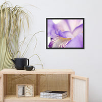 Soft Focus Iris Petals Floral Nature Photo Framed Wall Art Print