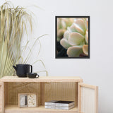 Succulent 4 Botanical Nature Photo Framed Wall Art Print