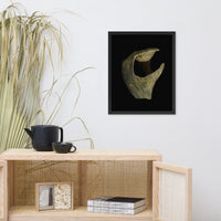 States of Erosion Image 5 Whelk Shell Coastal Nature Photo Framed Wall Art Print
