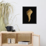 States of Erosion Image 9 Whelk Shell Coastal Nature Photo Framed Wall Art Print