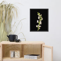 White Snapdragons Floral Nature Photo Framed Wall Art Print