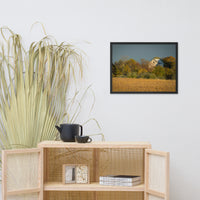 Abandoned Barn In The Trees Framed Photo Paper Wall Art Prints