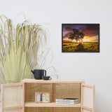 Countryside Olive Tree Sunset Landscape Photo Framed Wall Art Print