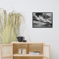 Dead Tree and Stone Wall in Black and White Framed Photo Paper Wall Art Prints