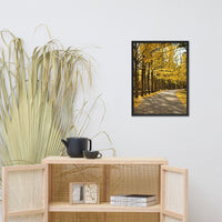 Fall Path Nature Landscape Framed Photo Paper Wall Art Prints