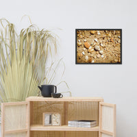 Broken Seashells and Sand Coastal Nature Photo Framed Wall Art Print