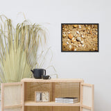 Broken Seashells and Sand Coastal Nature Photo Framed Wall Art Print