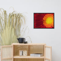 Nature's Beauty Floral Nature Photo Framed Wall Art Print