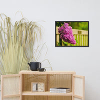 Park Bench with Lilac Floral Nature Photo Framed Wall Art Print