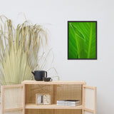 Leaves of Canna Lily Botanical Nature Photo Framed Wall Art Print