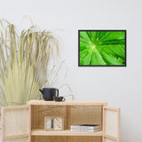 Peaceful Greenery Botanical Nature Photo Framed Wall Art Print