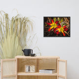 Royal Sunset Lily Floral Nature Photo Framed Wall Art Print
