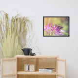 Spider Flower in Glory Light With Spotted Moth Floral Nature Photo Framed Wall Art Print