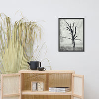 Rotting Away Alone Black and White Botanical Nature Photo Framed Wall Art Print