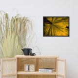 Seasons Change Botanical Nature Photo Framed Wall Art Print
