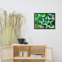 Succulent Botanical Nature Photo Framed Wall Art Print