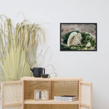 Seaweed and Shells Coastal Nature Photo Framed Wall Art Print