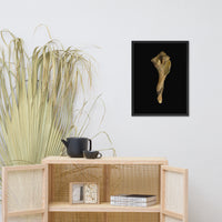 States of Erosion Image 3 Whelk Shell Coastal Nature Photo Framed Wall Art Print