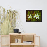 Wild Beauty Floral Nature Photo Framed Wall Art Print