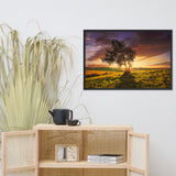 Countryside Olive Tree Sunset Landscape Photo Framed Wall Art Print