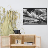 Dead Tree and Stone Wall in Black and White Framed Photo Paper Wall Art Prints