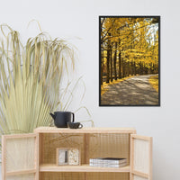 Fall Path Nature Landscape Framed Photo Paper Wall Art Prints