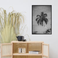 Palm Over Water Black and White Botanical Nature Photo Framed Wall Art Print